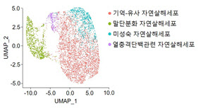 세브란스병원, 혈액암에서 항체치료 효과 예측 기전 제시