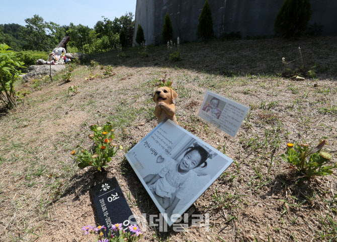 [포토]친구들과 함께 잠들어 있는 정인이