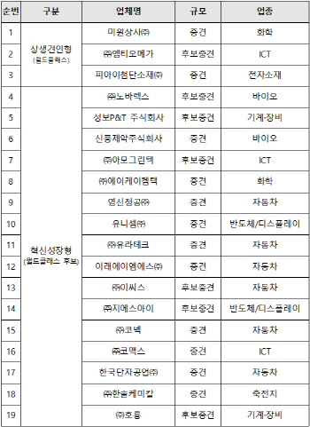 2030년까지 우수 중견기업 200곳에 9135억원 지원