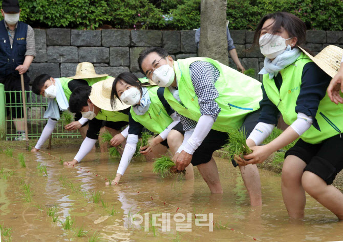 [포토] 도심 속 손 모내기하는 이성희 농협회장