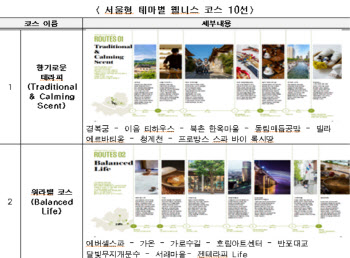 의료관광 재도약 원년…서울시. 관광활성화 협의회 출범