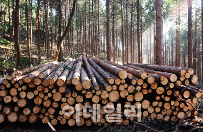 산주·임업인들, 산림경영 활동 보장 및 임업직접지불제 도입 촉구