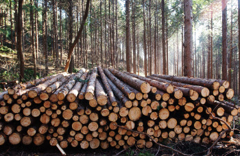 산주·임업인들, 산림경영 활동 보장 및 임업직접지불제 도입 촉구