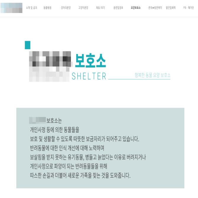 '안락사 없는 보호소'의 두 얼굴...사실은 '신종 펫숍'