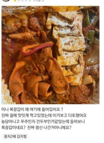 배달된 김치찜에 '목장갑'이…손님 "다 토했다" vs 사장 "억울해"