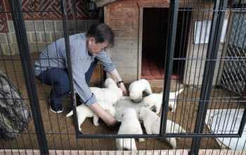 전여옥, 文대통령 사진 올리며 "철창 안 편안해 보여"