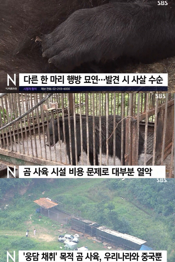 “평생 웅담 채취 학대→사살” 서동주 ‘곰 사육농장’ 분노