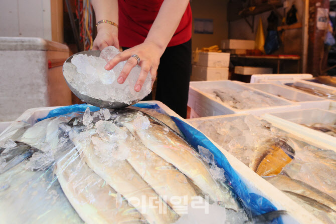 [포토]폭염에 분주한 수산업 상인의 손