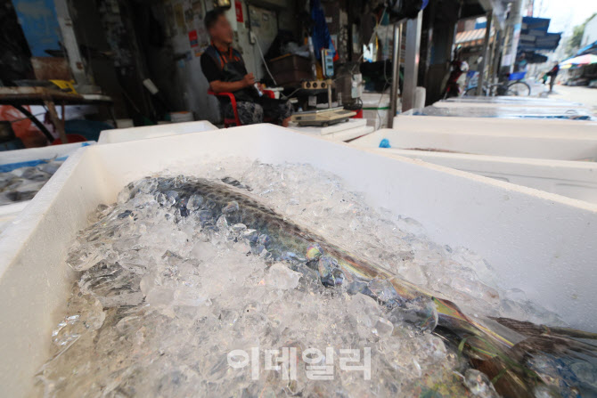 [포토]폭염, 얼음으로 생선을 싱싱하게~