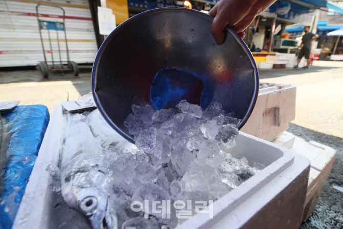 [포토]신선한 생선을 위해~