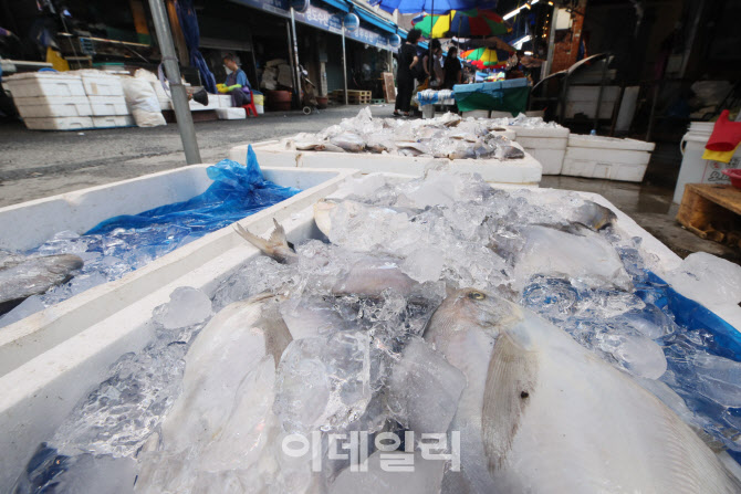 [포토]생선들의 부패를 막아라!