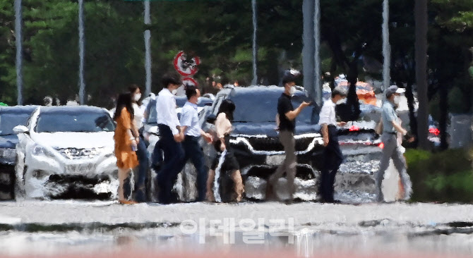 [포토]아지랑이가 그린 유채화