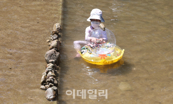 [포토]계곡에서 물놀이하는 어린이