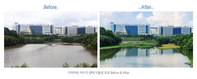 삼성디스플레이, 수자원 보호위해 친환경 '생태 식물섬' 조성