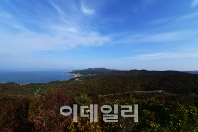 국립산림과학원 난대아열대산림연구소, 도서산림 포럼 개최