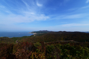 국립산림과학원 난대아열대산림연구소, 도서산림 포럼 개최