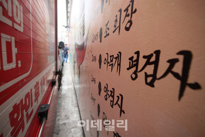 [포토]벽화 막은 윤석열 전 검찰총장 지지자들
