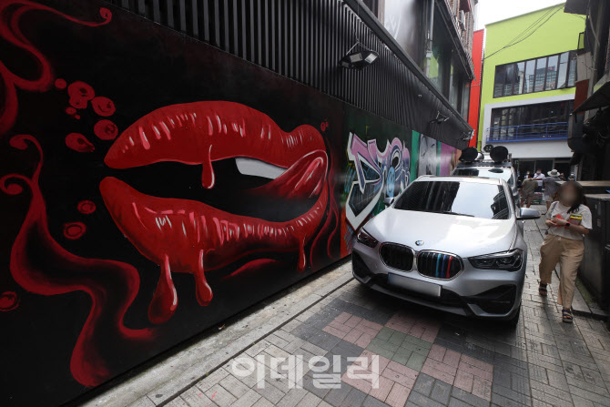 [포토]벽화 그려진 골목을 차량으로 막은 지지자들