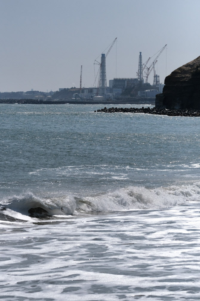 日, 후쿠시마 원전 오염수에서 넙치·광어 사육 실험
