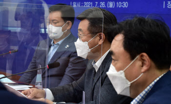 어설픈 임대차법, 더 무서운 보완입법