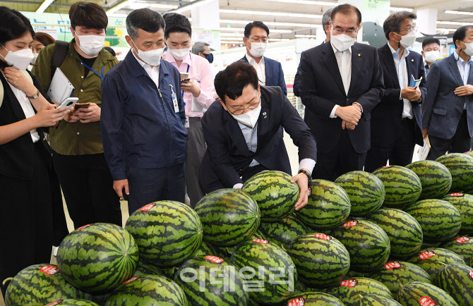 [포토]수박 들어보는 송영길 대표