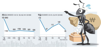 상폐 코앞인데 '사자'…롤러코스터 타는 개미