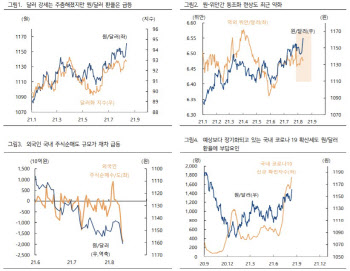 "1160원대 원·달러 환율, 추가 상승 제한적…일시적 수급불안"