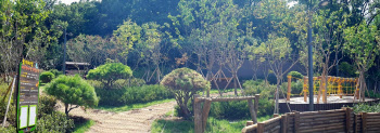 부천시, 심곡본동 산림형 어린이공원 개방