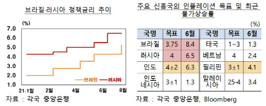 금리 못 올리면 코로나 루저?…신흥국 정책금리도 양극화