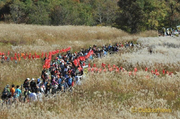 경기북부 대표 '산정호수 명성산 억새꽃축제' 10월부터 4개월 간 열려