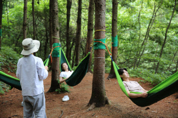 "숲·자연휴양림 등 산림 활용한 산림치유전문가 찾아요"