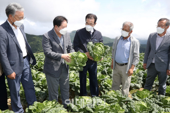 [포토] 강릉 안반데기 방문한 이성희 농협회장