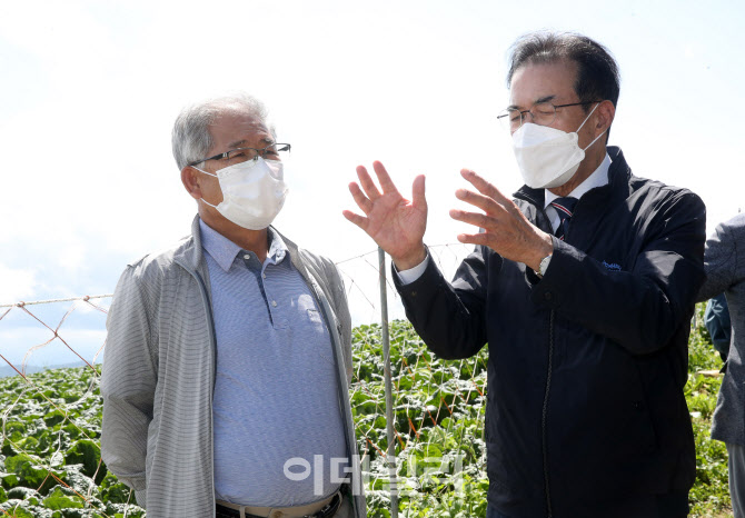 [포토] 농협, 배추·무 수급상황 점검