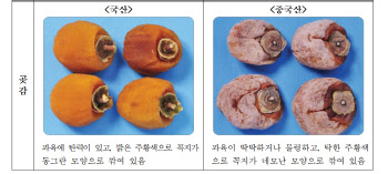 "국내산 곶감은 동그란 꼭지"…정부, 추석앞 농식품 원산지 집중단속