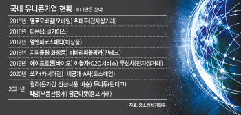 제2 당근마켓·직방 꿈 무럭…예비·아기유니콘 97곳 날갯짓