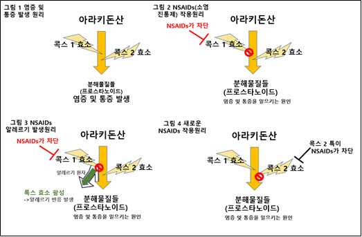 소염진통제 먹으면 알레르기 반응 나타나는데...백신 접종 후 꼭 먹어야 하나?