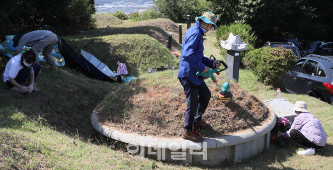 [포토]추석 앞두고 벌초 작업