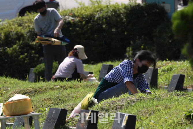 [포토]추석 앞두고 성묘객들의 묘지 관리