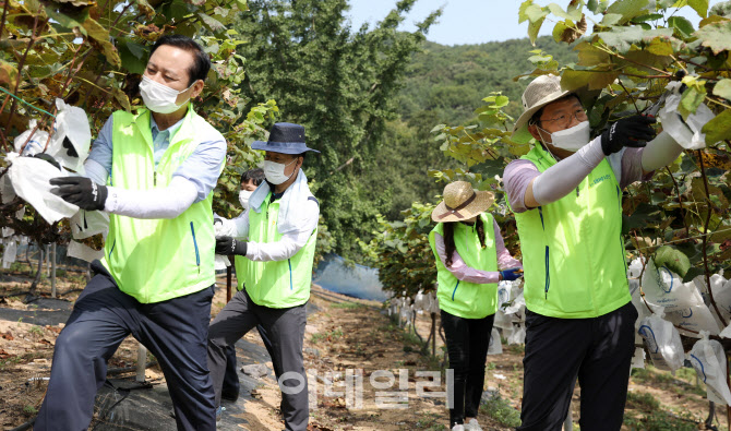 [포토] 농협중앙회, 농촌일손돕기