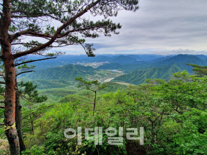 산림청, 이달의 추천 국유림 명품숲으로 '태화산 경관숲' 선정