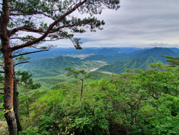 산림청, 이달의 추천 국유림 명품숲으로 '태화산 경관숲' 선정