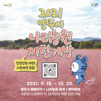 '핑크뮬리 성지' 양주 나리농원 내달 20일까지 개방