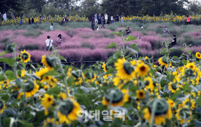 [포토]'산책하며 피로 풀어요'