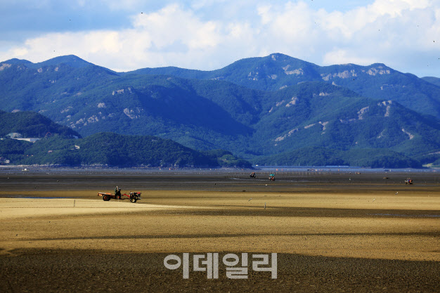 유네스코 세계유산 韓 갯벌 살린다…“탄소중립 본격화”