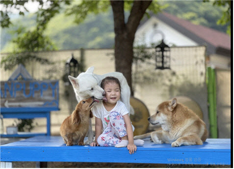 반려견과 아이 우애 담은 '우리집 막내 예은'…사진전 대상