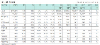 엘비세미콘, 대규모 비메모리 테스트 설비 투자 긍정적-하나