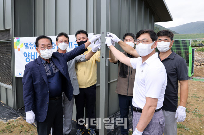 [포토] 국립생태원, 양비둘기 방사
