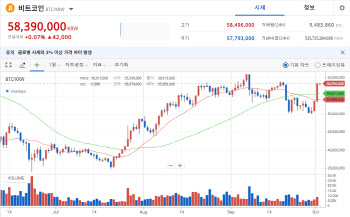 비트코인 상승세 6000만원 가시권…내년부터 20% 양도세