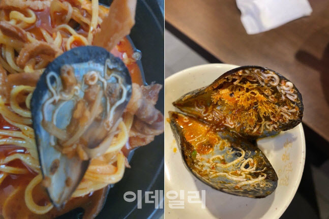 홍합에 다닥다닥 기생충이? 짬뽕 먹다 발견한 이것의 정체