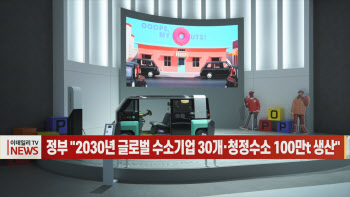  정부 "2030년 글로벌 수소기업 30개·청정수소 100만t 생산"